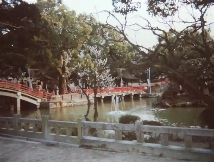 太宰府天満宮(福岡県)