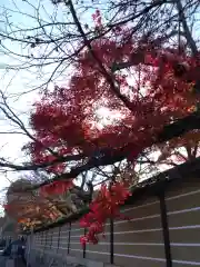 石山寺の自然