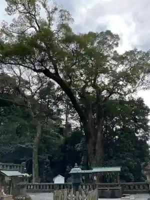 久能山東照宮の{uncategorized: "未分類", other: "その他", undefined: "問題あり", building: "その他建物", grave: "お墓", sacred_gate: "鳥居", guardian: "狛犬", statue: "像", buddha: "仏像", history: "歴史", nature: "自然", garden: "庭園", animal: "動物", pagoda: "塔", temizu: "手水舎", mountain_gate: "山門・神門", sanctuary: "本殿・本堂", subordinate: "末社・摂社", art: "芸術", scenery: "景色", jizo: "地蔵", ema: "絵馬", goshuin: "御朱印", omikuji: "おみくじ", items: "授与品その他", amulet: "お守り", goshuincho: "御朱印帳", eats: "食事", festival: "お祭り", votive_dance: "神楽", shichigosan: "七五三参", wedding: "結婚式", experience: "体験その他", initially: "初詣", around: "周辺", anti_infection: "感染症対策"}