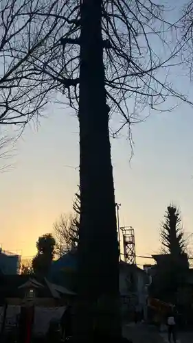 田無神社(東京都)