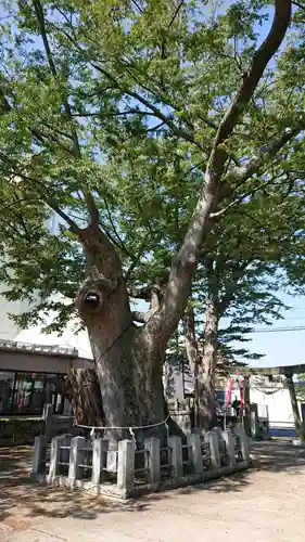 阿邪訶根神社(福島県)