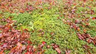 三千院門跡(京都府)