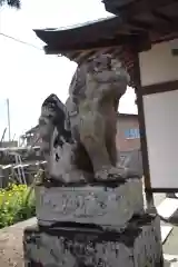 浅間神社の狛犬