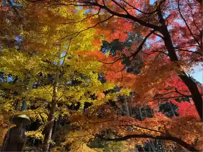 高山寺(兵庫県)