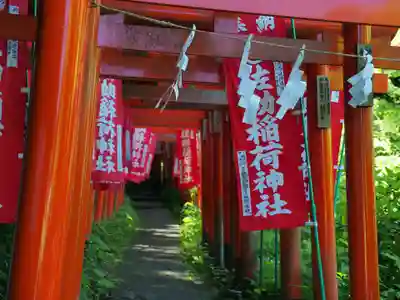 佐助稲荷神社の鳥居