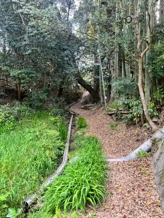 隅田八幡神社の{uncategorized: "未分類", other: "その他", undefined: "問題あり", building: "その他建物", grave: "お墓", sacred_gate: "鳥居", guardian: "狛犬", statue: "像", buddha: "仏像", history: "歴史", nature: "自然", garden: "庭園", animal: "動物", pagoda: "塔", temizu: "手水舎", mountain_gate: "山門・神門", sanctuary: "本殿・本堂", subordinate: "末社・摂社", art: "芸術", scenery: "景色", jizo: "地蔵", ema: "絵馬", goshuin: "御朱印", omikuji: "おみくじ", items: "授与品その他", amulet: "お守り", goshuincho: "御朱印帳", eats: "食事", festival: "お祭り", votive_dance: "神楽", shichigosan: "七五三参", wedding: "結婚式", experience: "体験その他", initially: "初詣", around: "周辺", anti_infection: "感染症対策"}