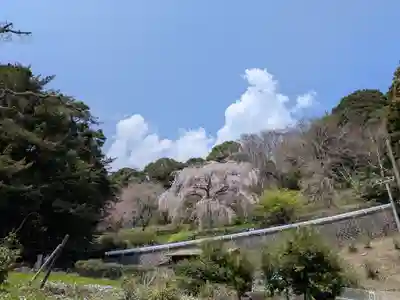 紹太寺(神奈川県)