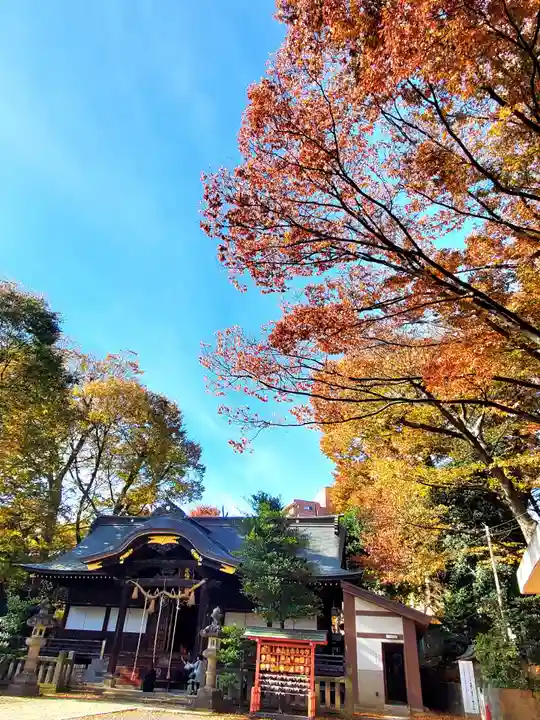 安積國造神社の本殿・本堂