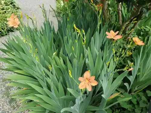 沙沙貴神社(滋賀県)