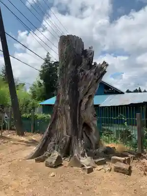八坂神社(千葉県)