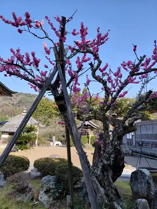 大成寺(福井県)