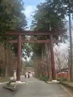 大前神社の鳥居