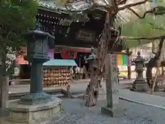 頂法寺（六角堂）(京都府)