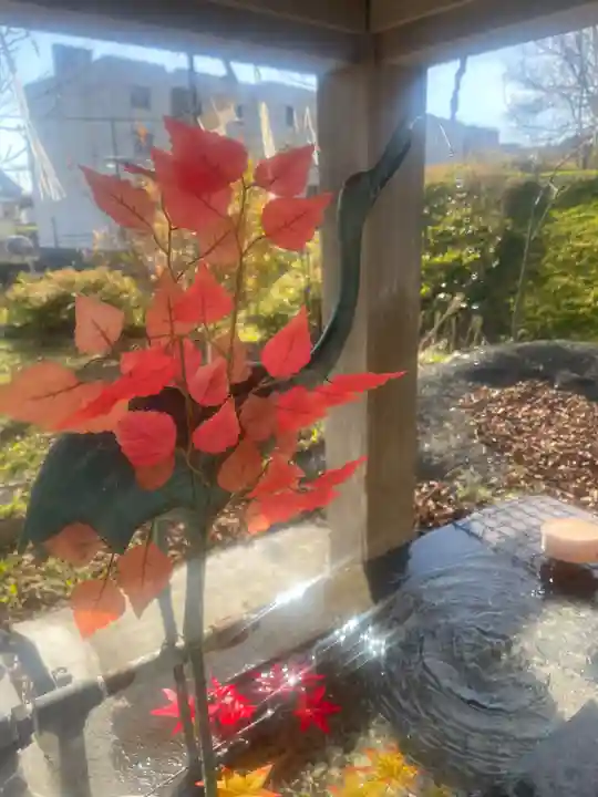 釧路一之宮 厳島神社の手水舎