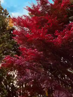 滑川神社 - 仕事と子どもの守り神(福島県)