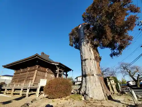 静御前堂の本殿・本堂