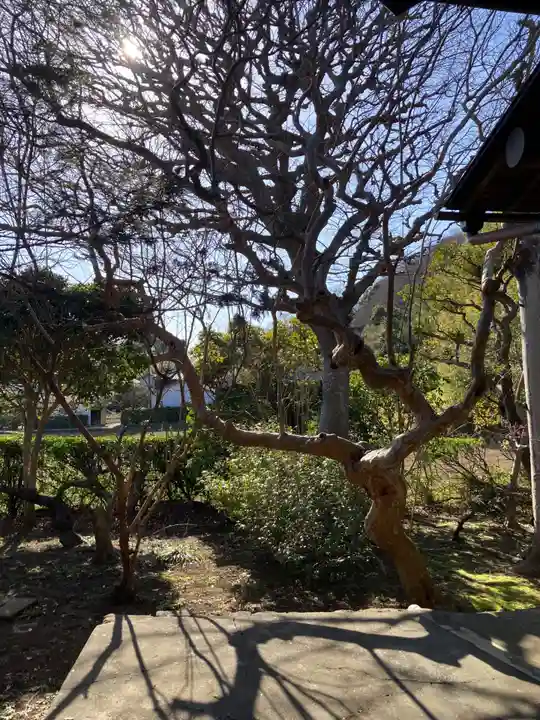 金龍寺(神奈川県)