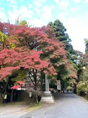 満願寺のその他建物
