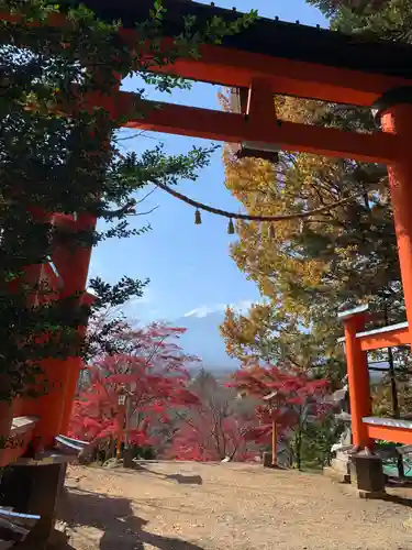 新倉富士浅間神社の鳥居
