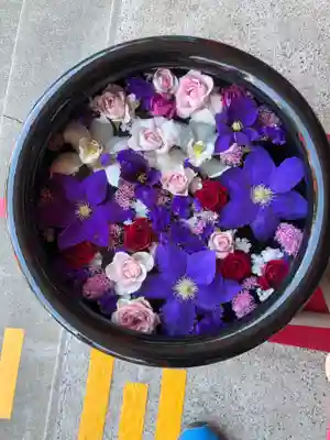 徳島眉山天神社の手水舎