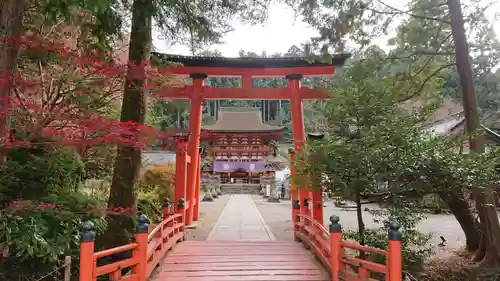 丹生都比売神社の鳥居