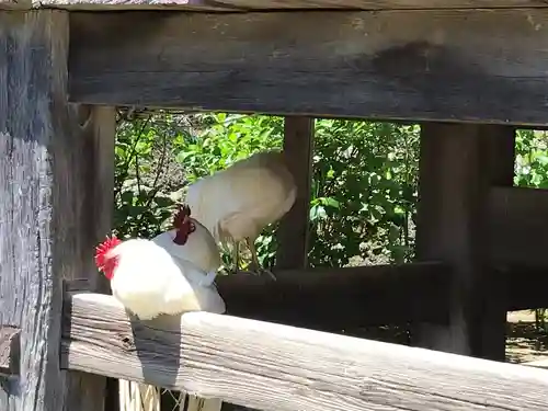 楽法寺（雨引観音）の動物