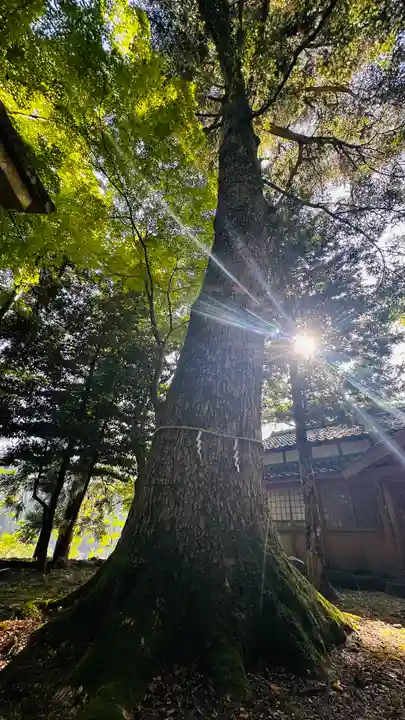白石神社(福井県)