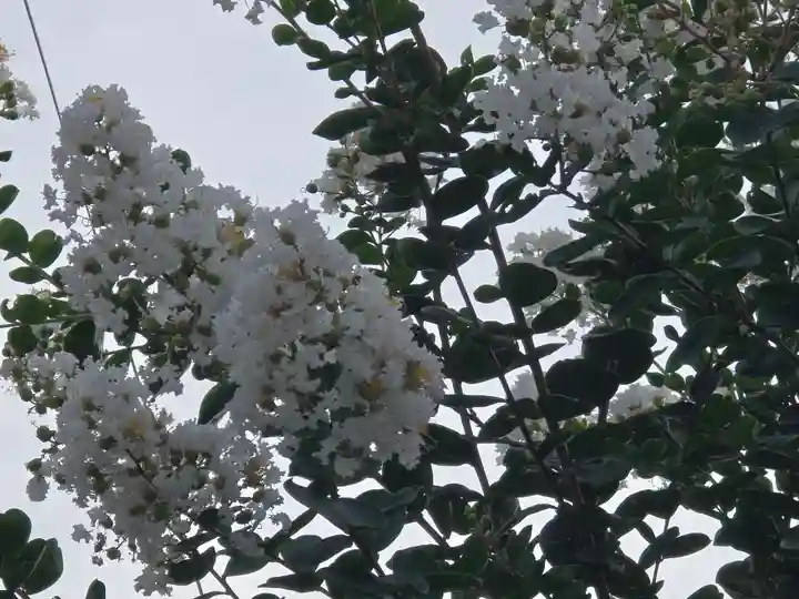 橋寺 放生院(京都府)