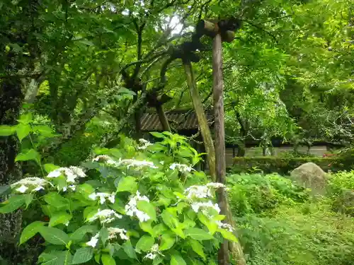 瑞泉寺の庭園