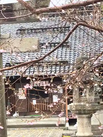 犀川神社の本殿・本堂