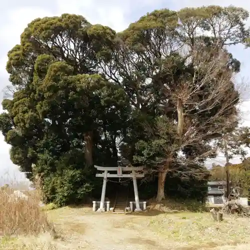 愛宕神社の自然