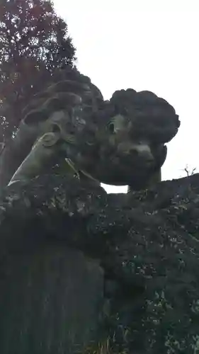 千葉神社の狛犬