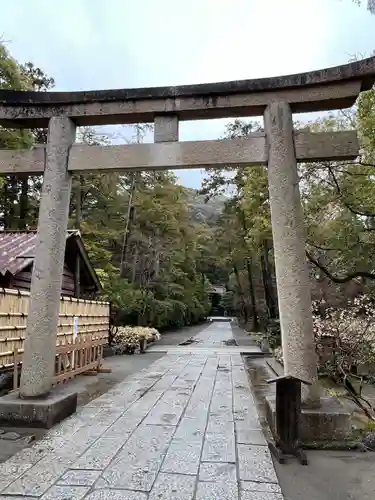 鶴岡八幡宮(神奈川県)