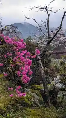 正法寺(京都府)