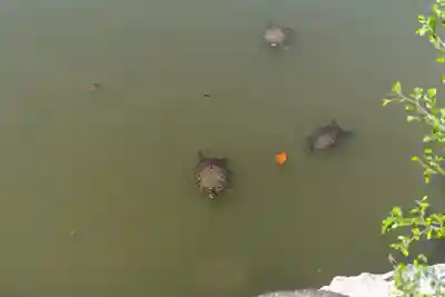 吉備津彦神社(岡山県)