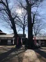 八枝神社の自然