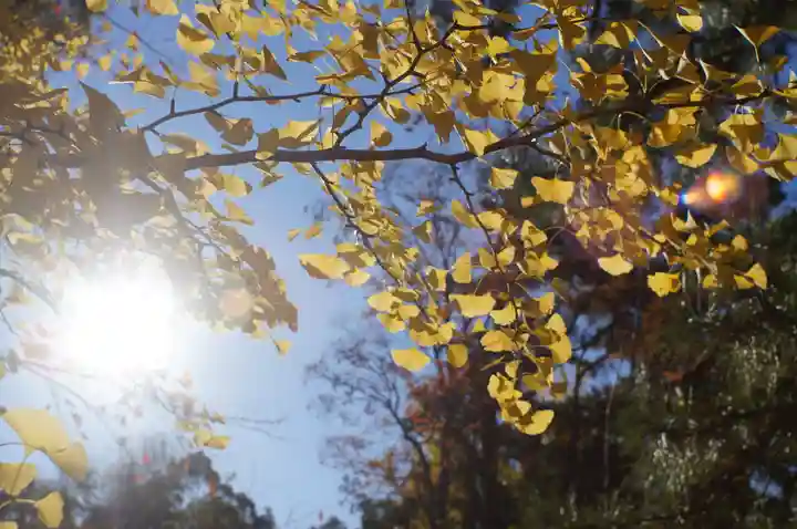 氣比神宮(福井県)
