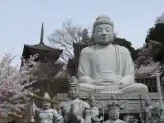 南法華寺（壷阪寺）(奈良県)