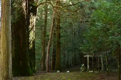 河内神社(高知県)