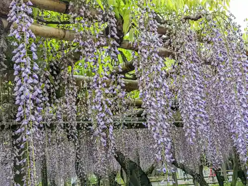 平等院(京都府)