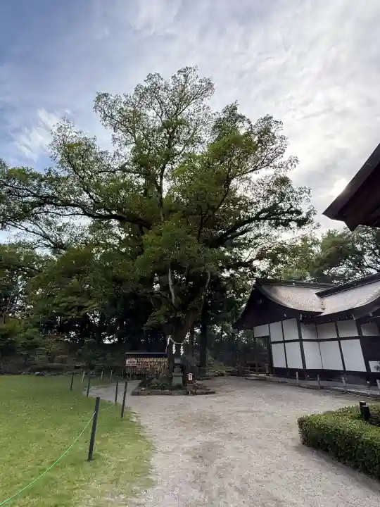 武田神社(山梨県)