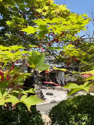 常福寺(愛知県)