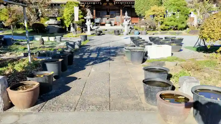 光明寺(埼玉県)