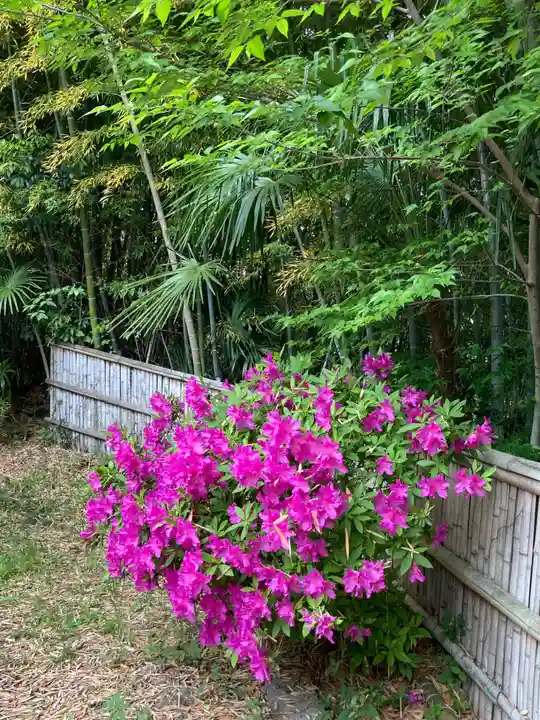 正蔵院(神奈川県)