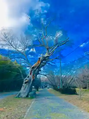 金村別雷神社のその他建物