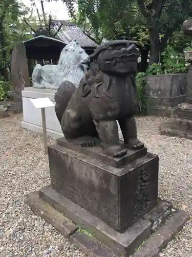 三囲神社の狛犬