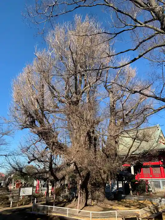 千葉寺(千葉県)