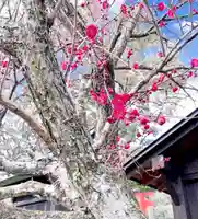 瀧宮神社(広島県)