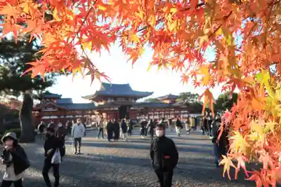 平等院のその他建物