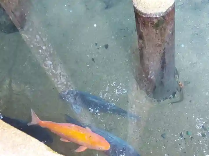 鹿島神宮(茨城県)